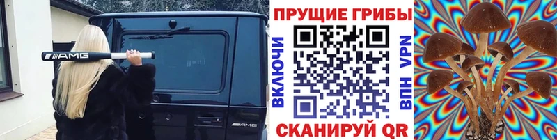 Купить  Покров  Псилоцибиновые грибы Psilocybe 